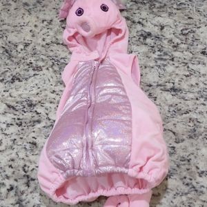 Seahorse Costume